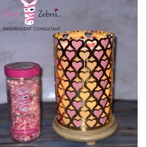 Pink zebra Valentine’s Day bundle
